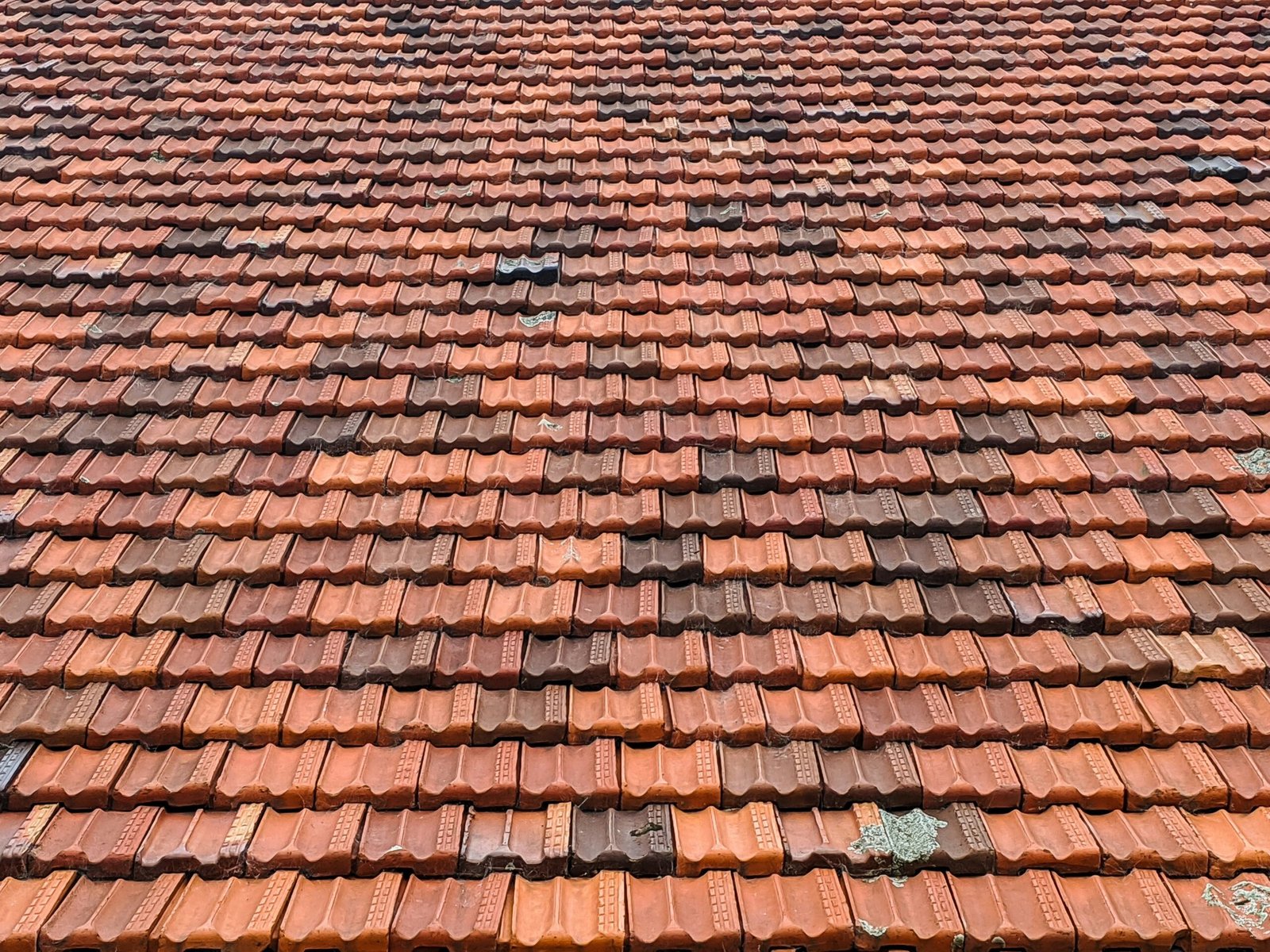 Roof joist and decking repair during a roof replacement by All State Roofing – Brooklyn